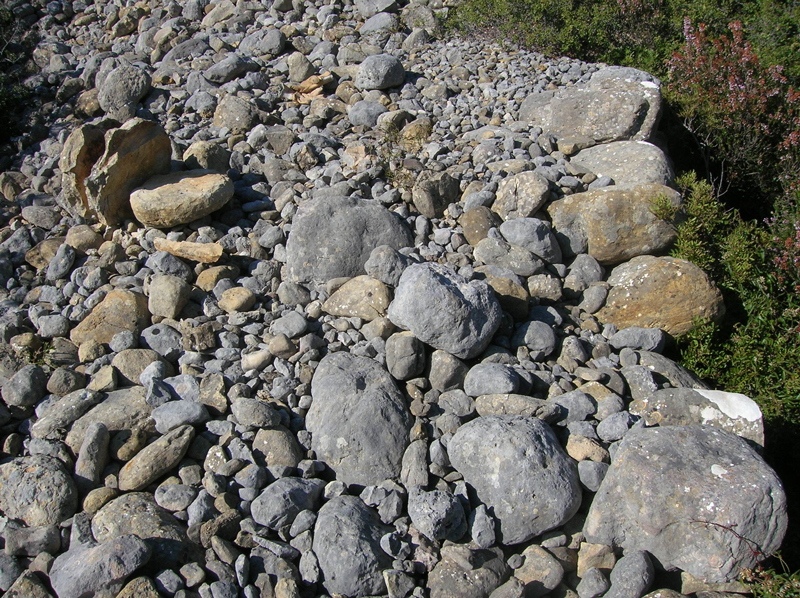 Dessus d'un pierrier où apparaissent les deux sortes de pierres : les galets de couleur gris-bleu et les galets de grès de couleur brune.