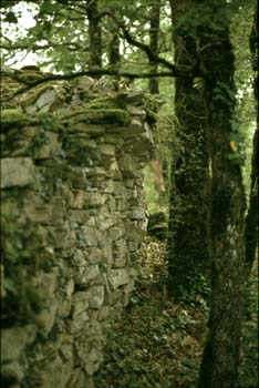 Abri sous paroi encorbelée © Christian Lassure