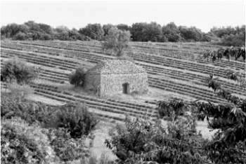 Bonnieux (Vaucluse) : cabane en forme de parallélépipède surmontée d'une sorte de toit en pavillon © Christian Lassure