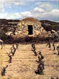 "Baraque "construite à Villeveyrac (Hérault) en 1984 © Photo Gilles Fichou