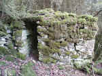 Cadole du Val Sambon à Flavigny-Ecorsaint © Photo Marc Troubat