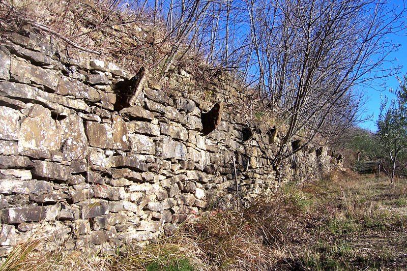 Village de Caresana à Trieste (Frioul-Vénétie julienne, Italie) : rangée de cornes en pierre ayant soutenu des treilles de vigne. Photo Sergio Gnesda.