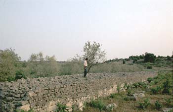 Michel Rouvière, songeur, sur une des murailles transversales de l'enclos d'Auguste Arnal sur le Gras des Assions (Ardèche) vers 1979 © Christian Lassure