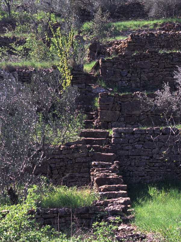 Lieudit Montchalvy à Largentière (Ardèche) : enfilade d’escaliers perpendiculaires aux murs de soutènement de terrasses. Photo de Dominique Repérant.