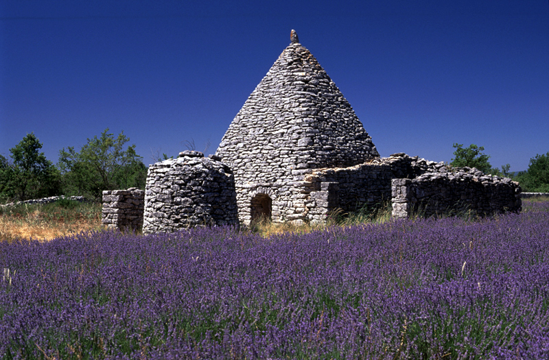 Lieudit Garuse à Saignon (Vaucluse) : ensemble formé par un cabanon pointu, une remise à charrette (ruinée), un mur pare-vent, un banc de dalles et un puits couvert. Photo de Dominique Repérant.