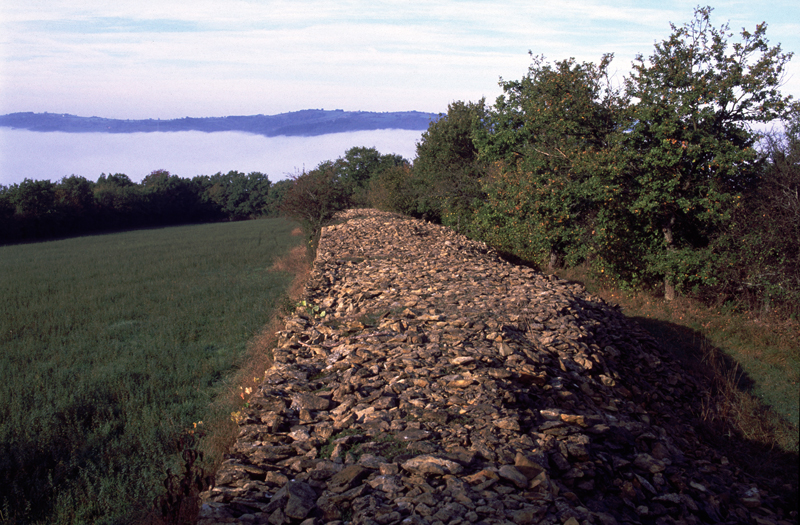 Lieudit Rains à Joncy (Saône-et-Loire), vaste mur-pierrier ou murger bordant une ancienne vigne. Photo Dominique Repérant.
