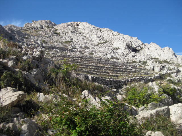 Baka, le de Krk (Croatie) : anciennes terrasses viticoles mnages dans un enclos. Photo Sergio Gnesda.