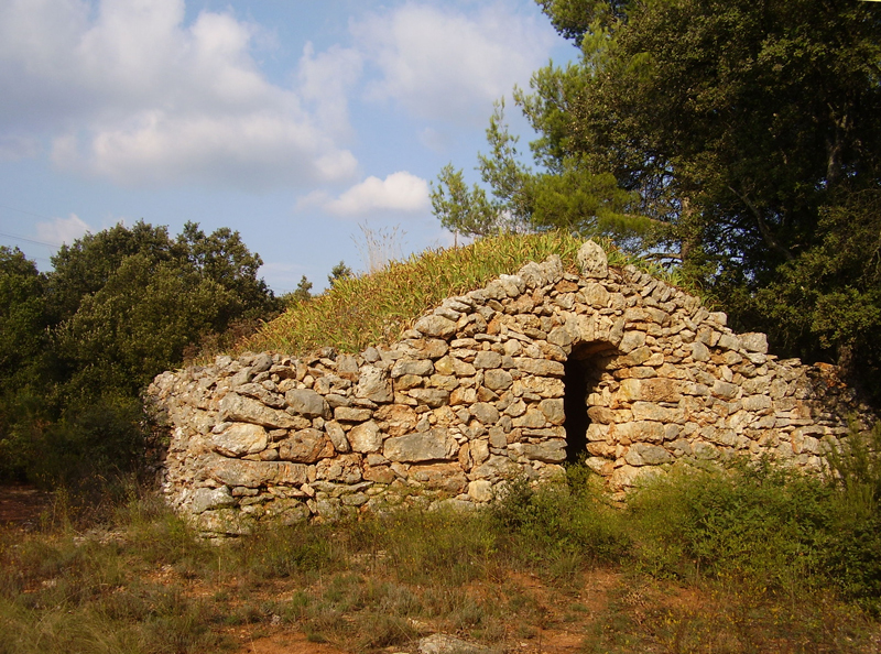Jouques (Bouches-du-Rhône) : pignon-façade à fronton d'une cabane rectangulaire au toit planté d'iris. Photo Jean Laffitte.