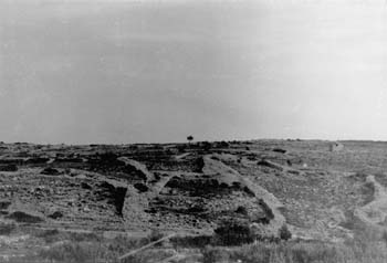 Dans les années 1950, "paysages lithiques" vers La Franqui © Christian Lassure