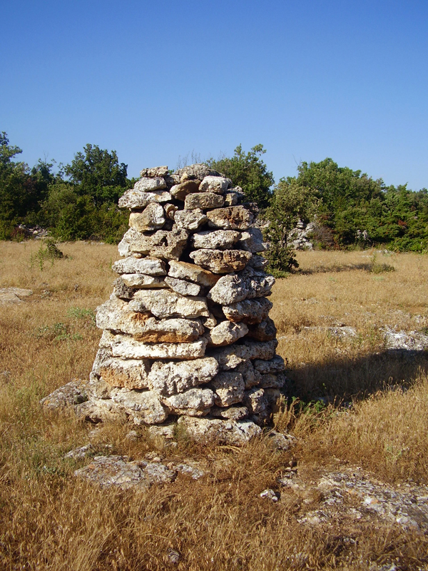 Lieudit Les Berdines  Apt (Vaucluse) : monjoie (ou cassi en provenal) cylindrique  fruit. Photo Jean Laffitte.