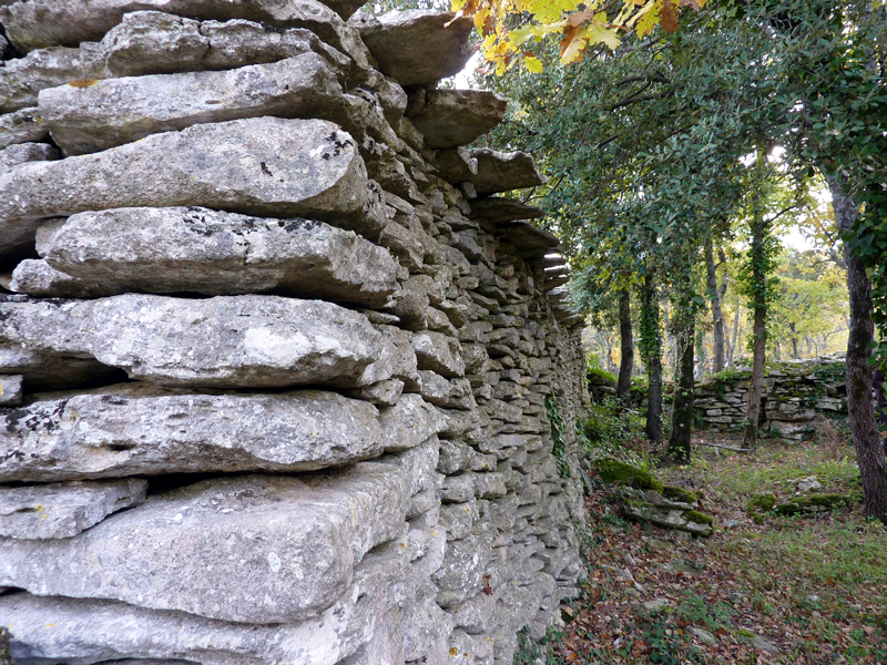 Les Rinardas  Bonnieux (Vaucluse) : mur anti-chapardage dun enclos-rucher. Photo Jean Laffitte.