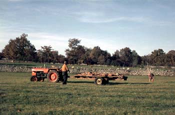 Ramassage des pierres dans un pré sur le causse de Livernon en 1976 © CERAV (fonds Martine Sylvos)