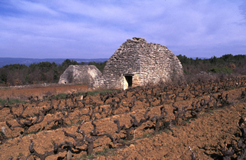 Vaucluse, Mnerbes   Dominique Reprant