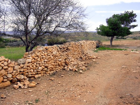 © Patrick Murphy Corella (Field report for the December 2004 earthquakes in Nador, Morocco.)