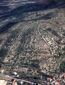 Vestiges lithiques de l'ancien vignoble de Cahors (Lot) en 1973 (l'été) © Christian Lassure