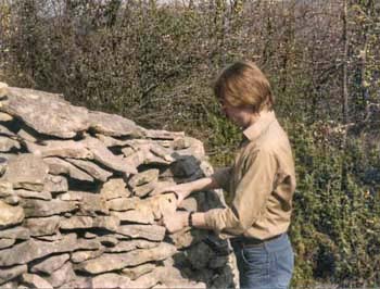 Combe de Vausservières à Labastide-de-Virac (Ardèche) (1976) : comblement d'un trou dans le parement extérieur d'une cabane pour éviter un désordre plus grave © Christian Lassure