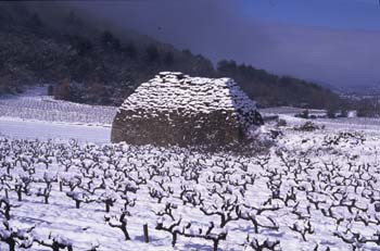 Vaucluse, Ménerbes © Dominique Repérant